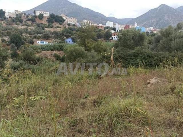 Propriété vente à Chauen, Tanger-Tétouan