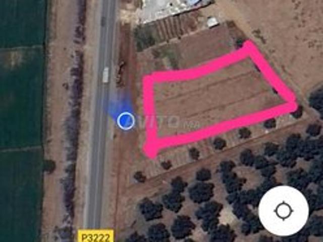 Propriété vente à Mellal