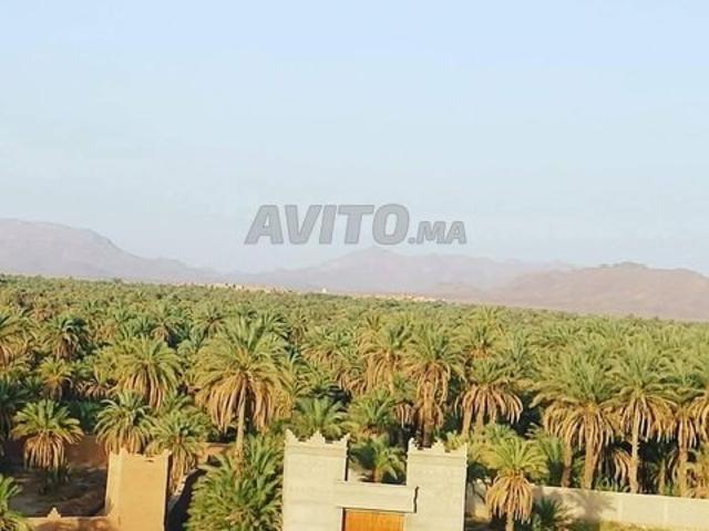 Propriété vente à Zagora