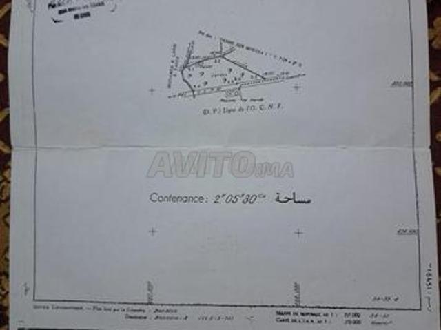 Propriété vente à Guercif