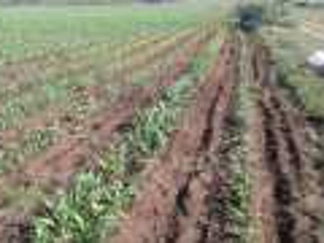 Propriété vente à Oulad Rahal, Gharb-Chrarda-Beni Hssen