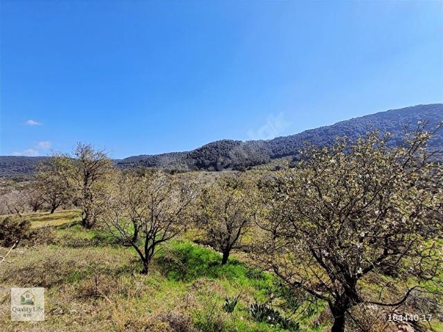 Datça, Muğla içerisinde satılık Arsa