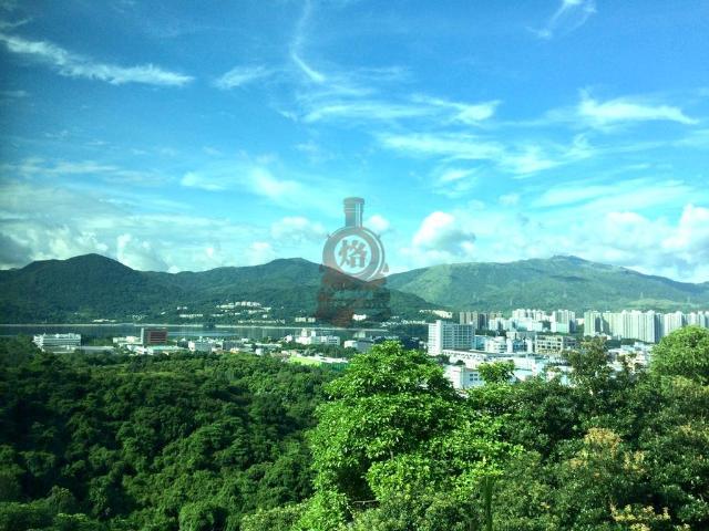 位於 香港, 提供 出售 的 住宅