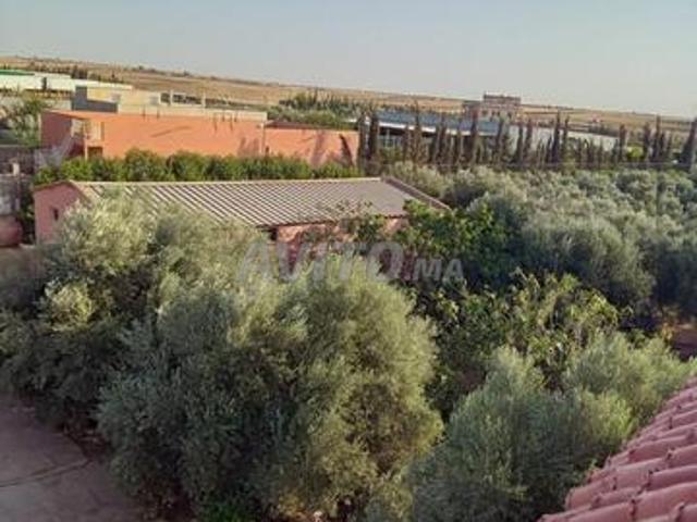 Propriété vente à Derb Omar, Settat