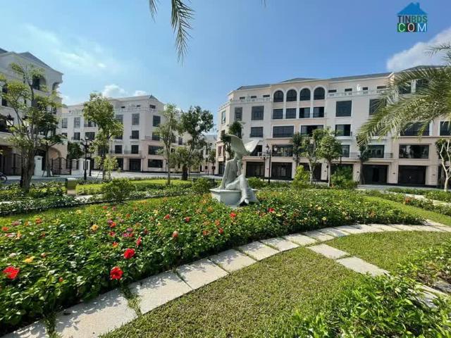 Biệt Thự bán