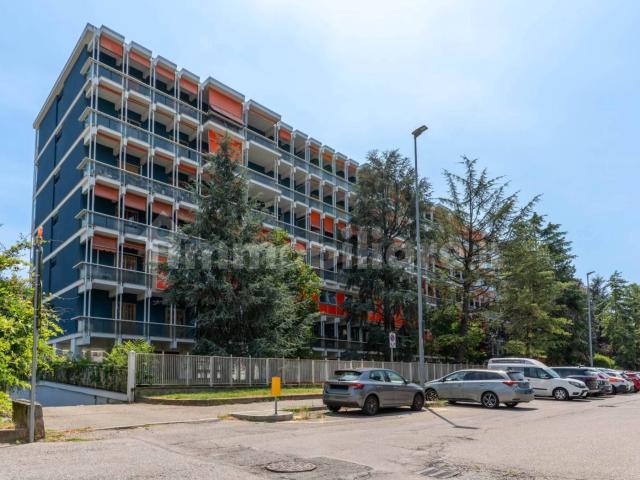 Appartamento in affitto a Maiasco, Piemonte