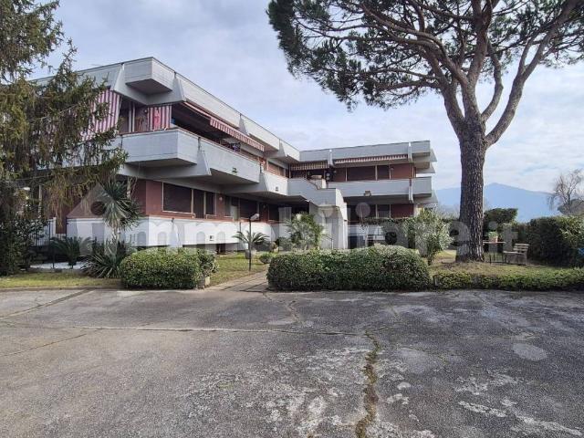 Appartamento in affitto a Marina di Massa, Marina Di Massa