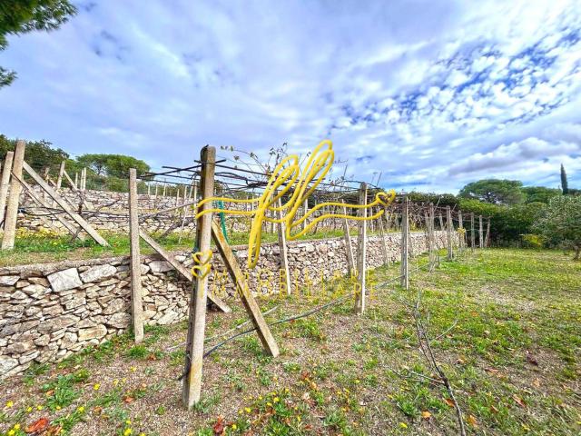 Appartamento in vendita a Campo nell'Elba, Marina Di Campo