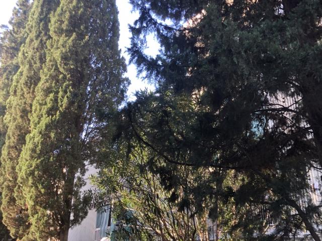 Appartamento in vendita a Quartiere 5, Firenze