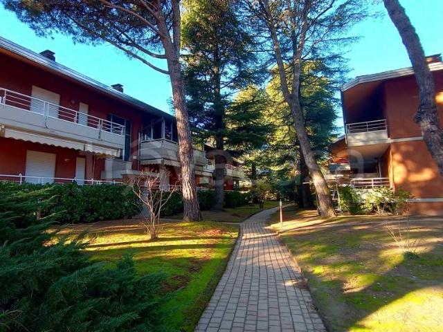 Appartamento in affitto a Lignano Pineta