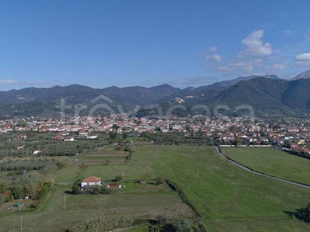 Appartamento in affitto a Luni, Liguria