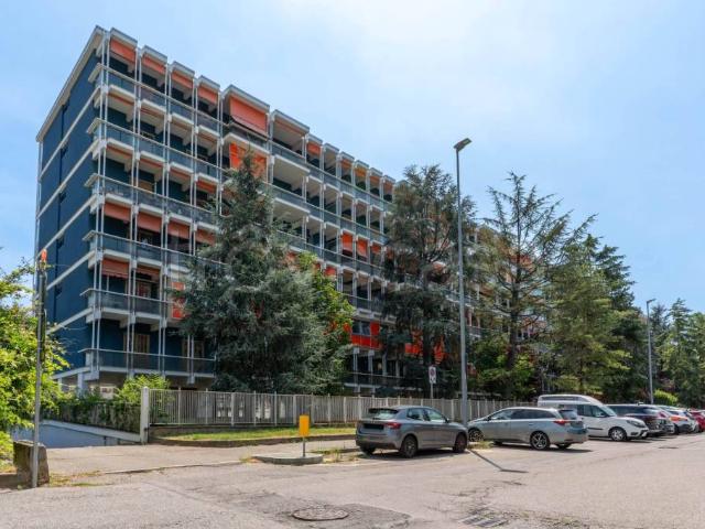 Appartamento in affitto a Maiasco, Piemonte