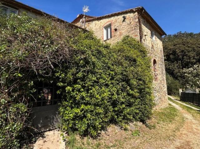 Appartamento in vendita a Buti, Toscana