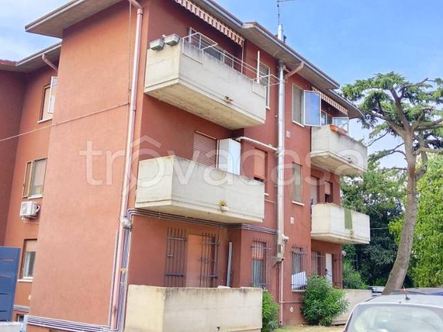 Appartamento in vendita a Cologna Veneta, Veneto