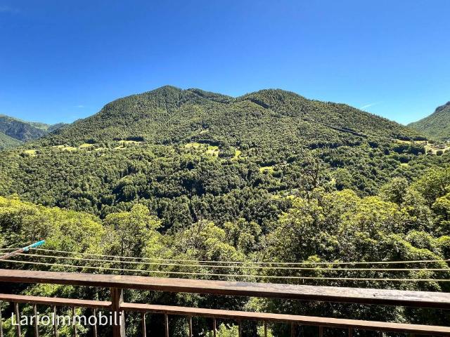 Appartamento in vendita a Premana, Lombardia