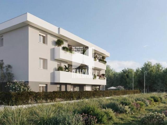 Appartamento in vendita a Caselle, Mottella