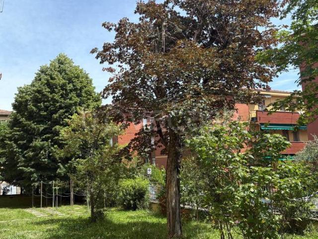 Appartamento in vendita a Cicogna, San Lazzaro