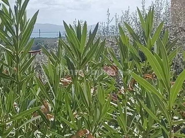 Appartamento in affitto a Paduline, Castiglione Della Pescaia