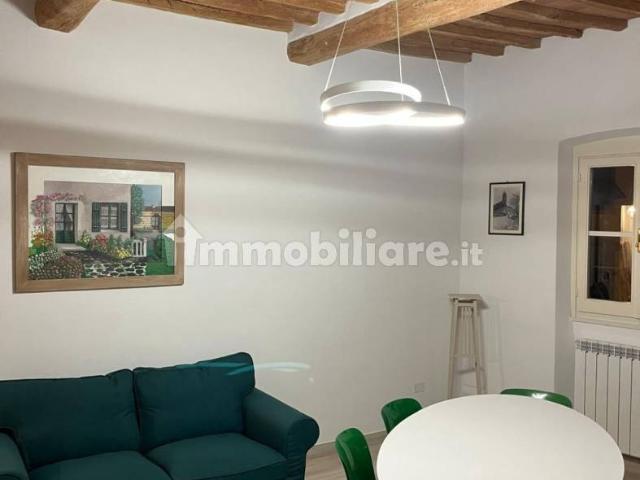 Appartamento in affitto a La Scala, San Miniato