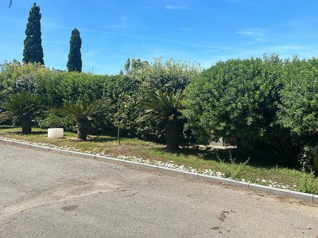 Appartamento in affitto a Montalto Di Castro, Lazio