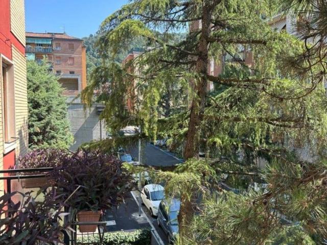 Appartamento in affitto a Unione dei comuni Valli del Reno, Lavino e Samoggia, Casalecchio Di Reno