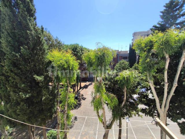 Appartamento in affitto a Marche, Ancona