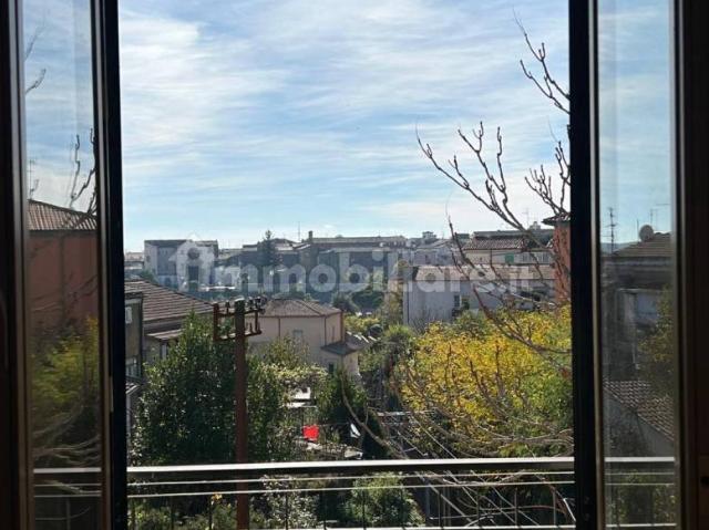 Appartamento in affitto a Faleria, Lazio