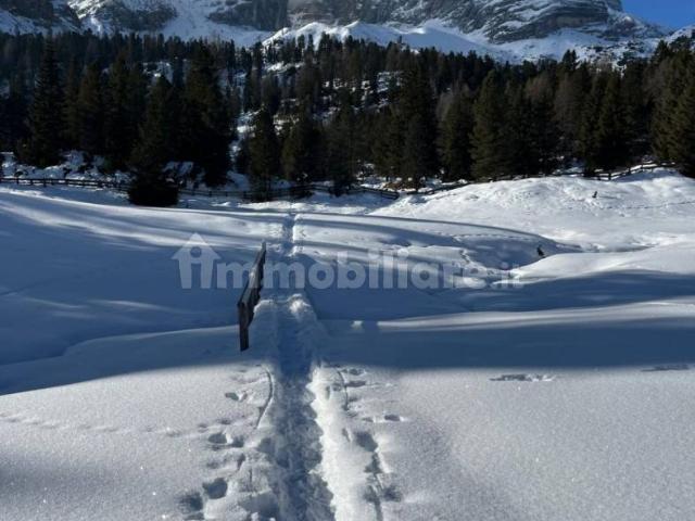 Appartamento in affitto a Misurina, Auronzo di Cadore