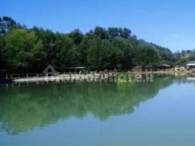 Appartamento in affitto a Dolo, Veneto