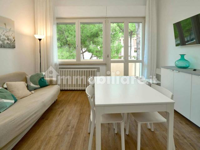 Appartamento in affitto a Milano Marittima, Cervia