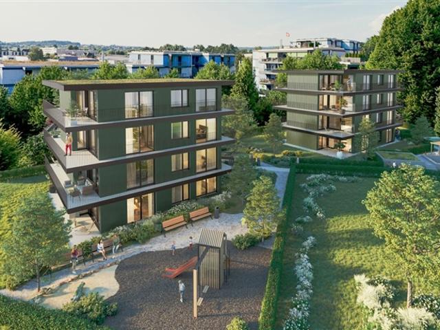 Wohnung kaufen in Wetzikon (ZH), Zürich