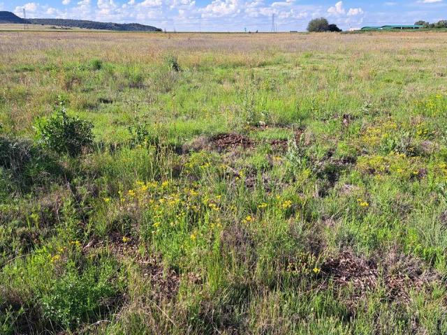 Land for sale in Bloemfontein, Free State