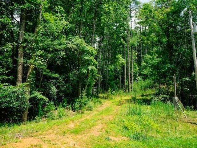 Land for sale in Warne, North Carolina