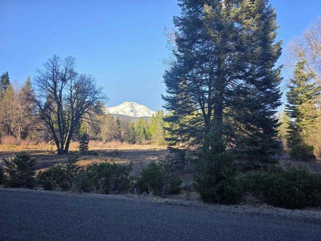 Land for sale in Mount Shasta, California