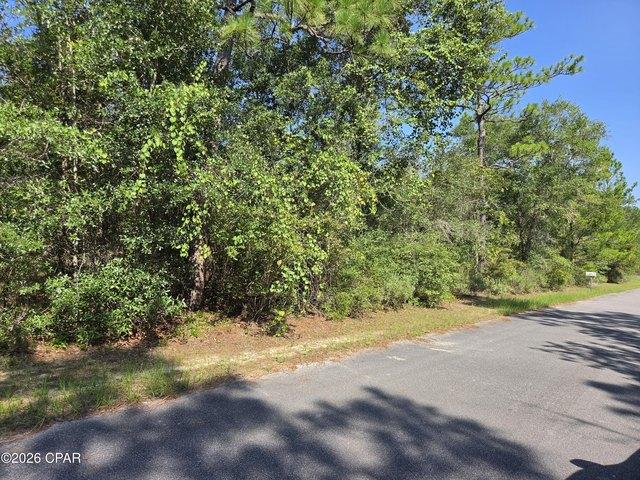 Land for sale in Chipley, Florida