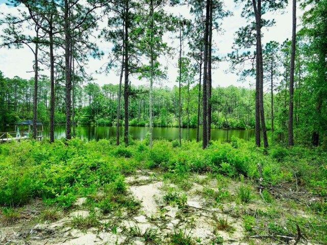 Land for sale in Defuniak Springs, Florida