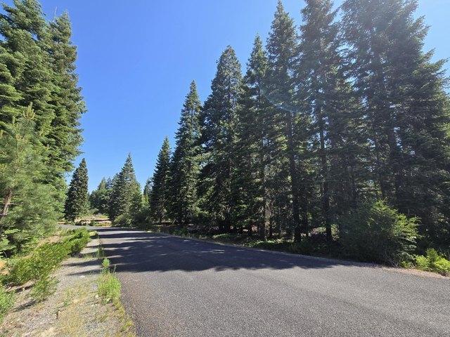 Land for sale in Mount Shasta, California