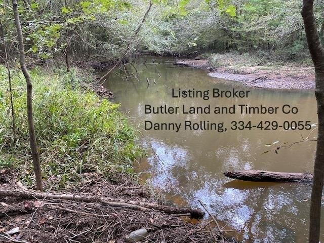 Land for sale in Luverne, Alabama