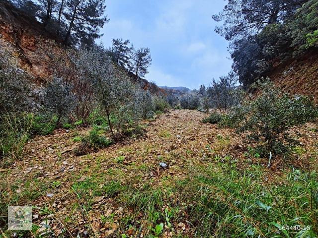 Datça, Muğla içerisinde satılık Arsa