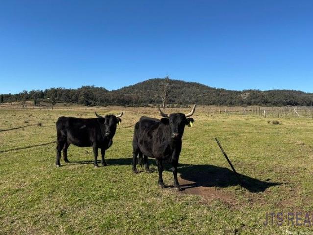 Cottage for sale in New South Wales