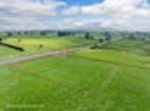 Land for sale in Morrinsville, Waikato