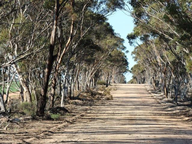 Cottage for sale in Salmon Gums, Western Australia