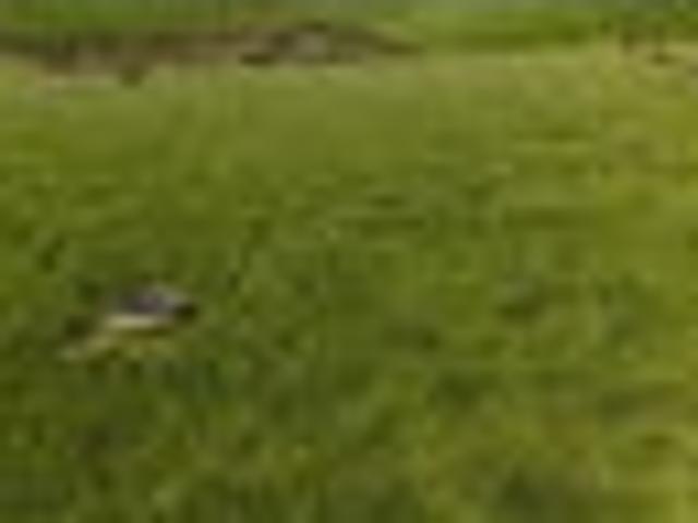 Land for sale in Ohaeawai, Northland