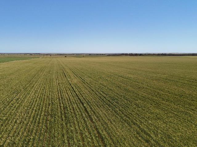 Cottage for sale in Clements Gap, South Australia