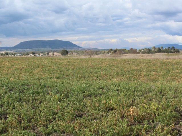 Land for sale in Swan Creek, Queensland