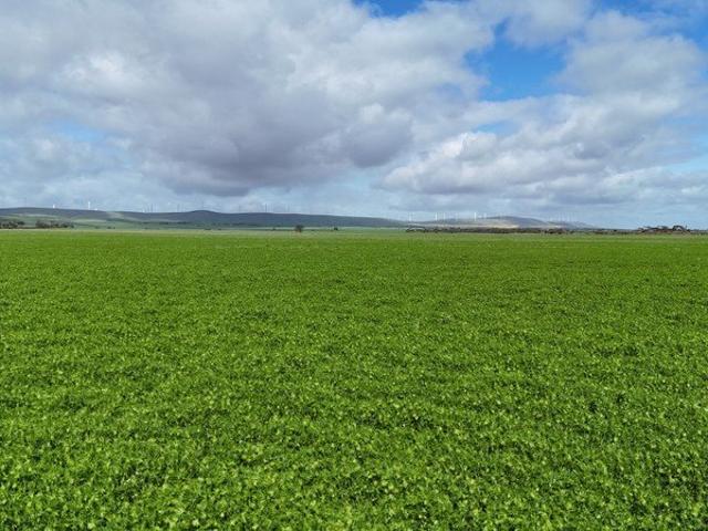 Cottage for sale in Mundoora, South Australia