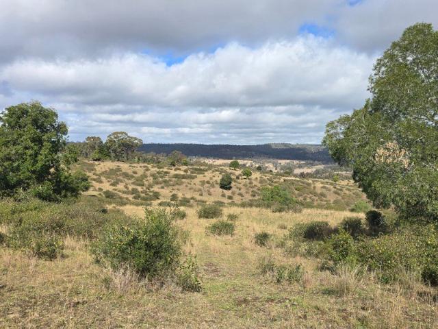 Land for sale in Thornville, Queensland
