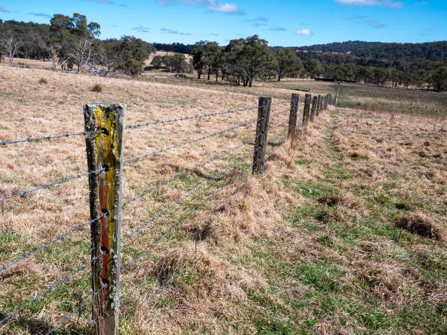 Property for sale in Dundee, New South Wales