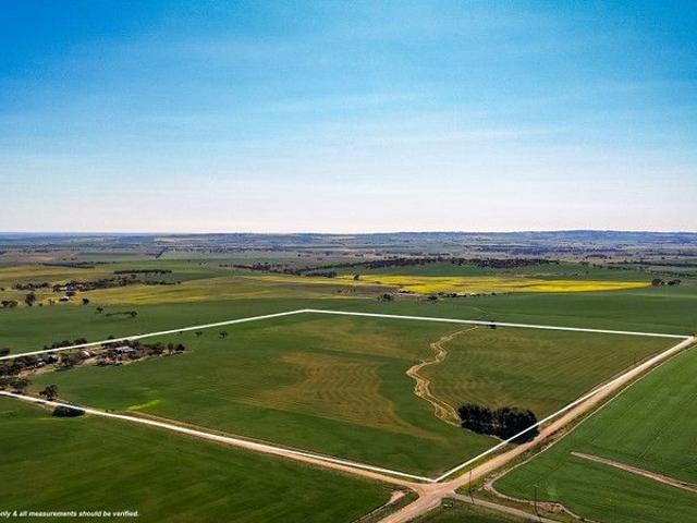Acreage for sale in Bethel, South Australia
