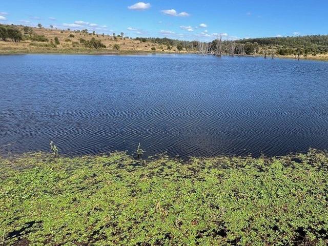 Cottage for sale in Kokotungo, Queensland